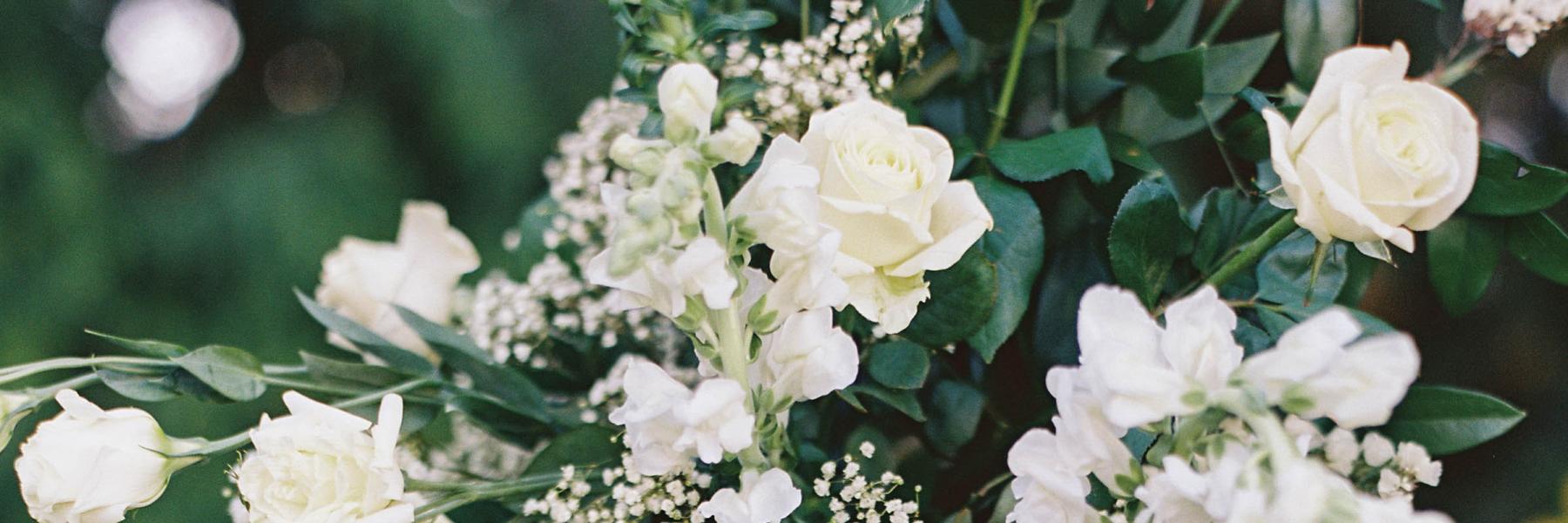 white flowers with greenery