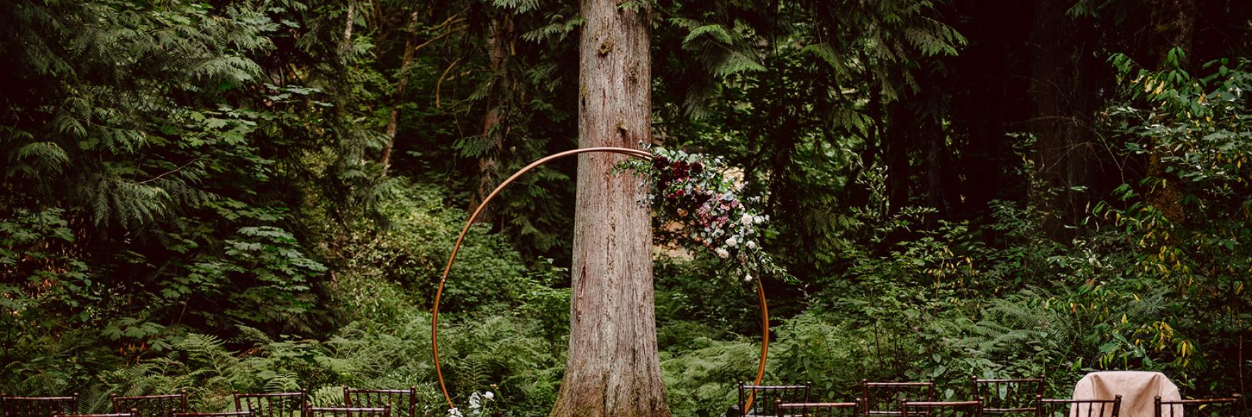 forested wedding ceremony / photo by Venture Ever After