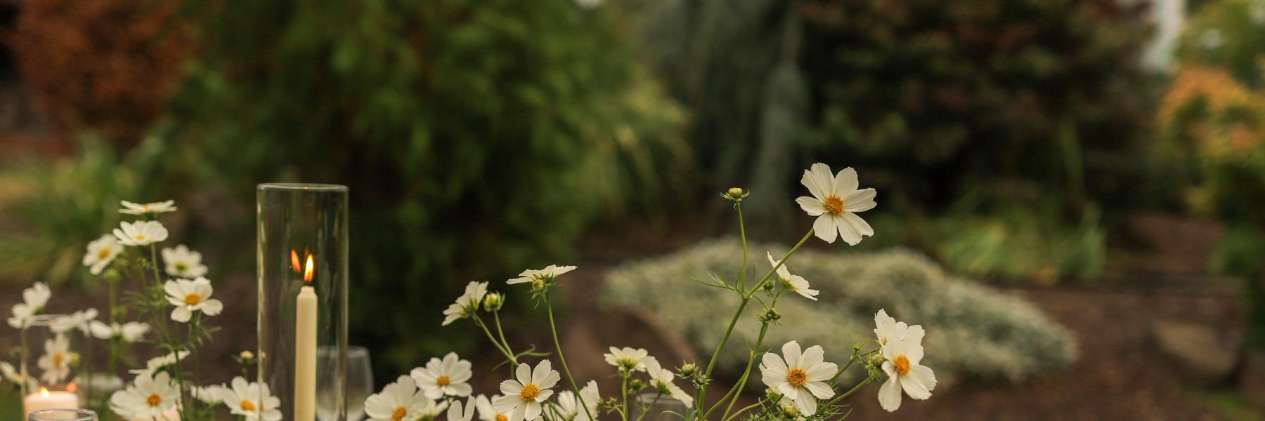 arrangements of cosmos