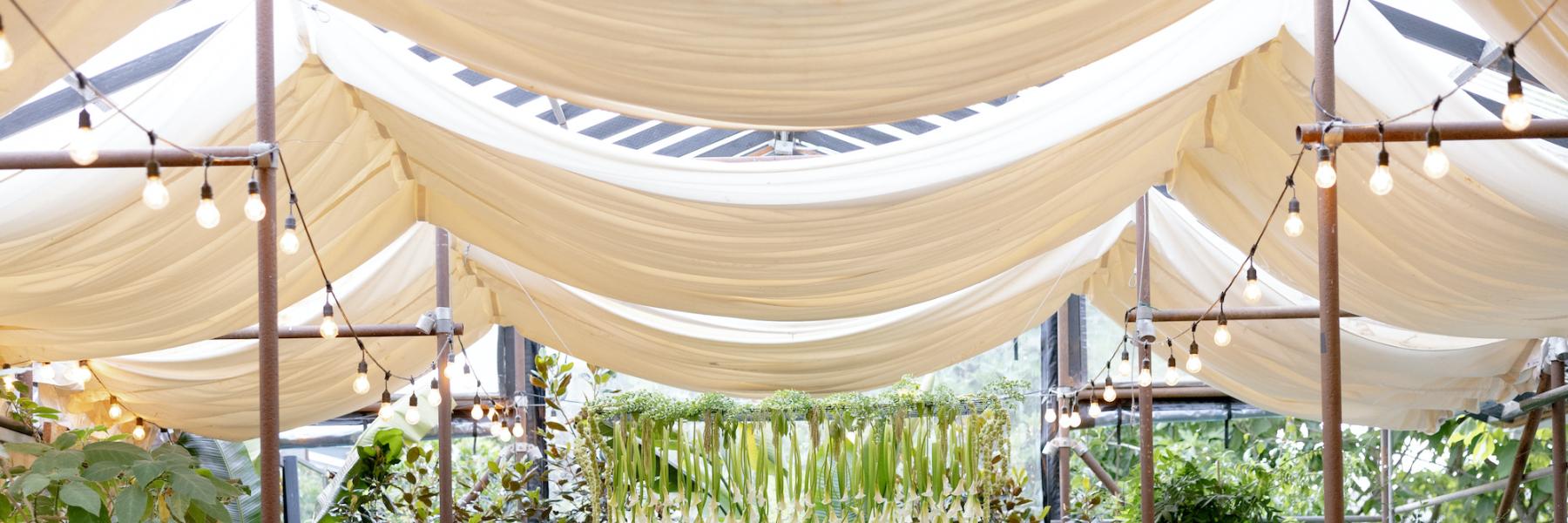 Victoria and Jon saying I Do under a suspended calla lily design