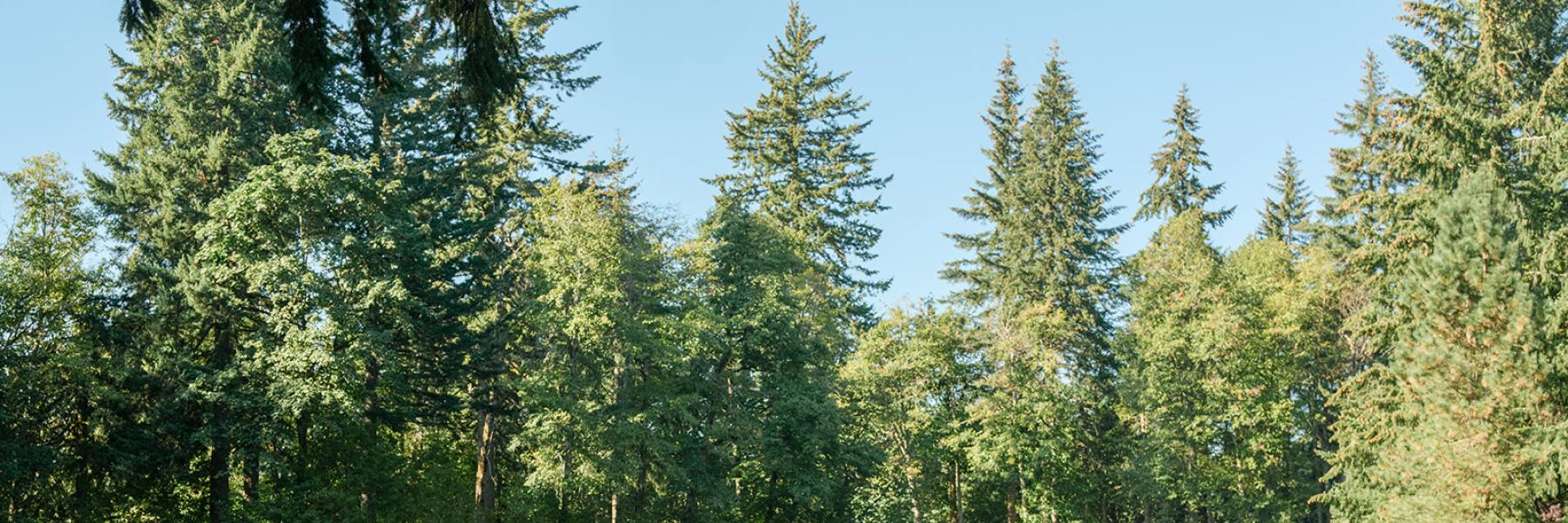 couple exchanging vows in front of a lake