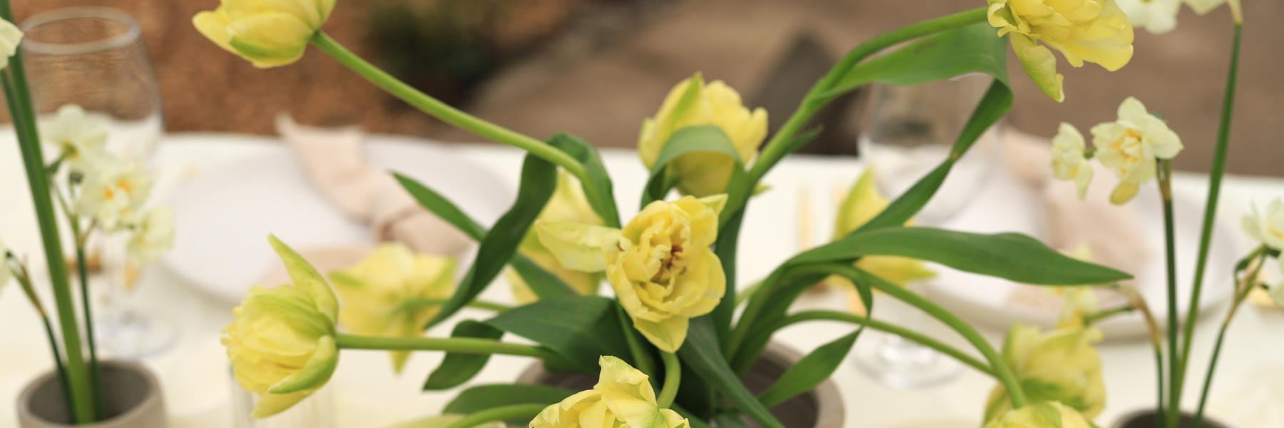 yellow tulips and honey melon