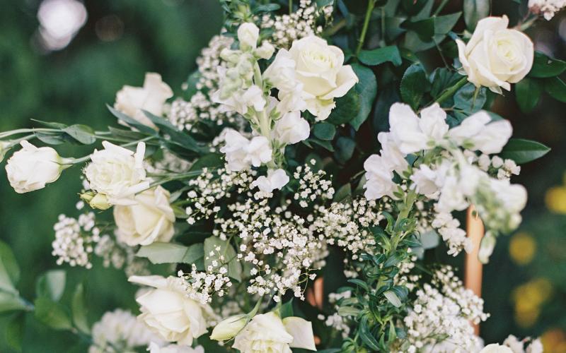 white flowers with greenery