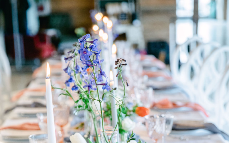 garden party table