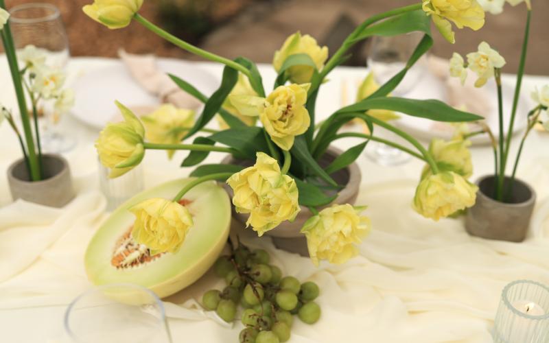 yellow tulips and honey melon