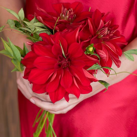 red maid's bouquet